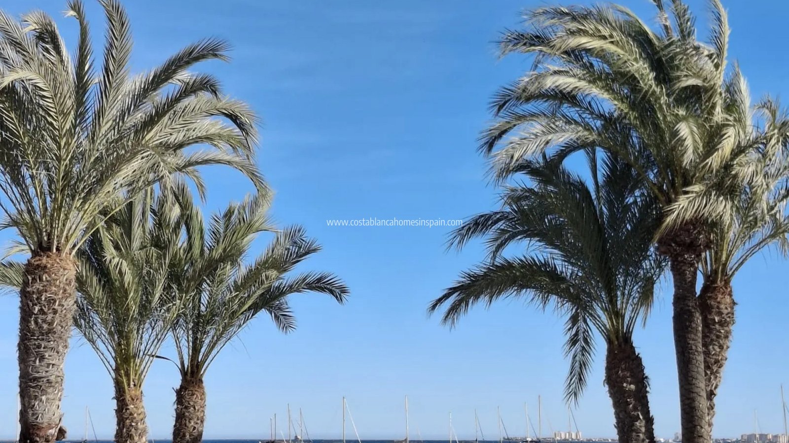 Re-salg - Apartment - Santiago de la Ribera - SANTIAGO DE LA RIBERA