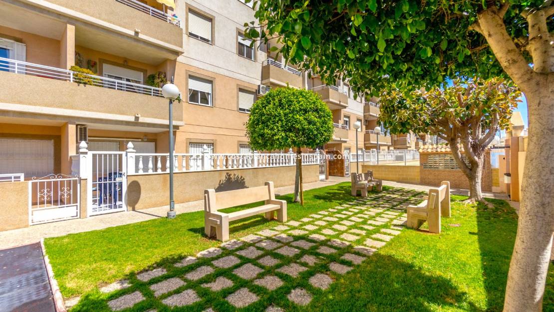 Re-salg - Apartment - Torrevieja - Centro