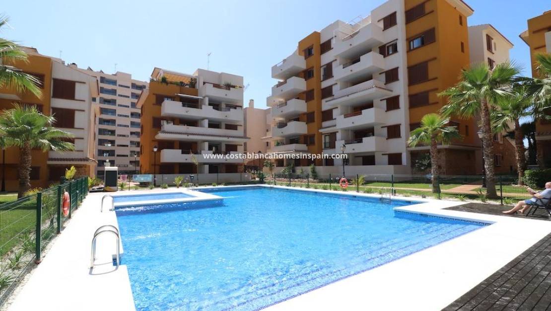 Re-salg - Apartment - Torrevieja - Punta Prima