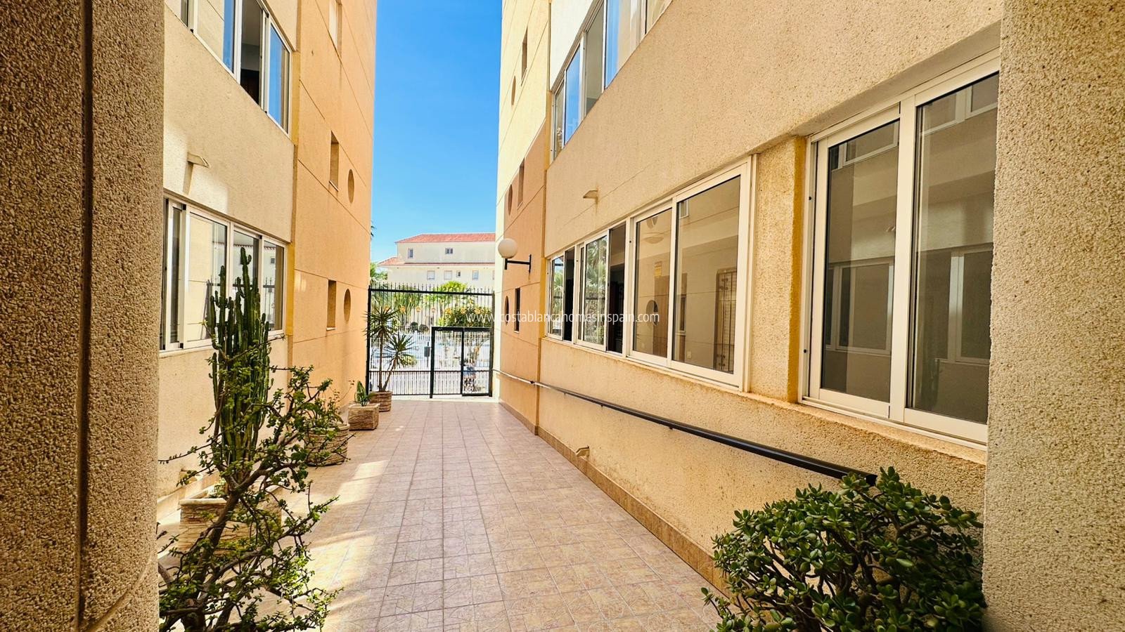 Re-salg - Apartment - Torrevieja - Urbanización San Luis