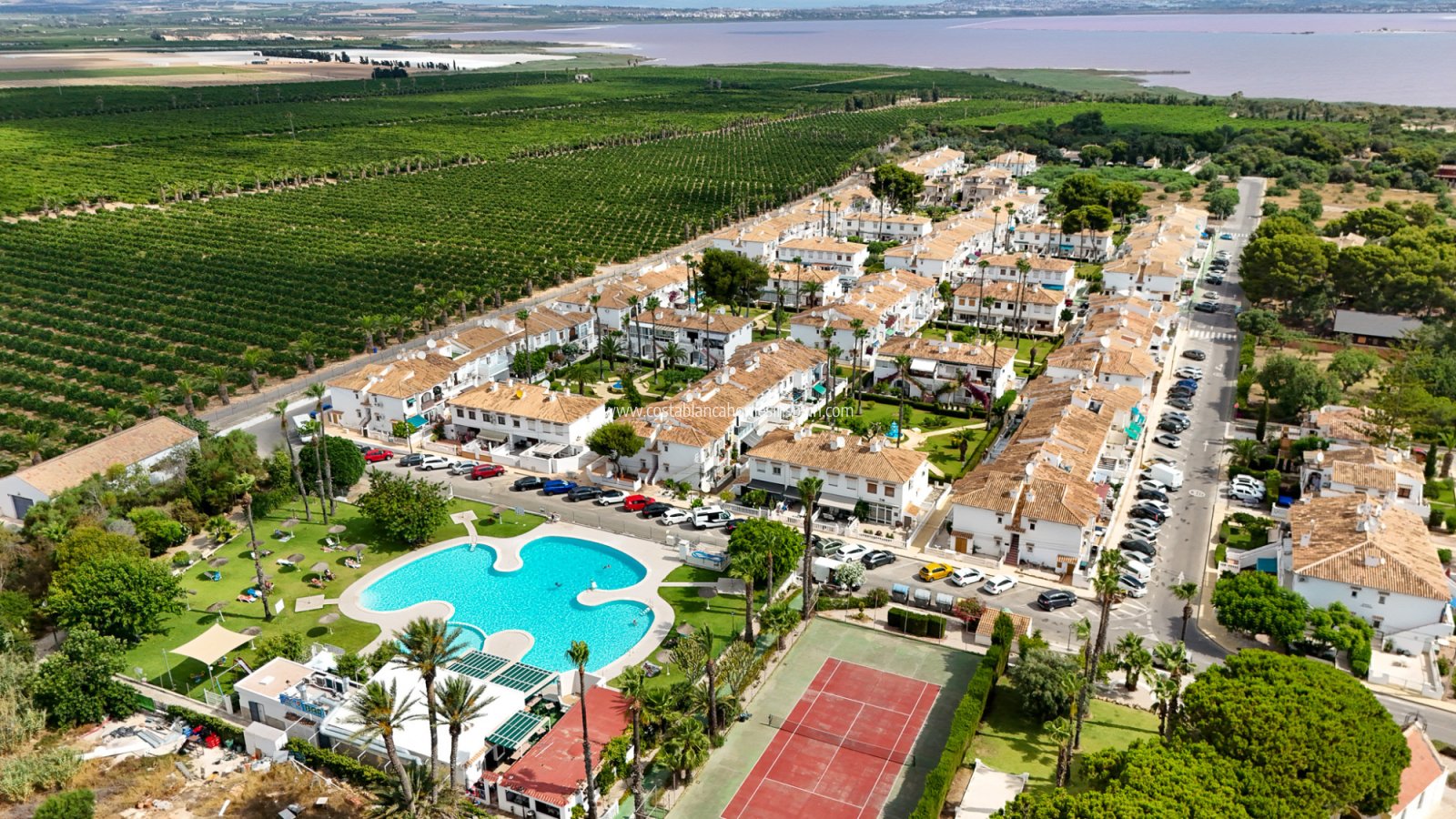 Re-salg - Bungalow - Torrevieja - Lago jardin