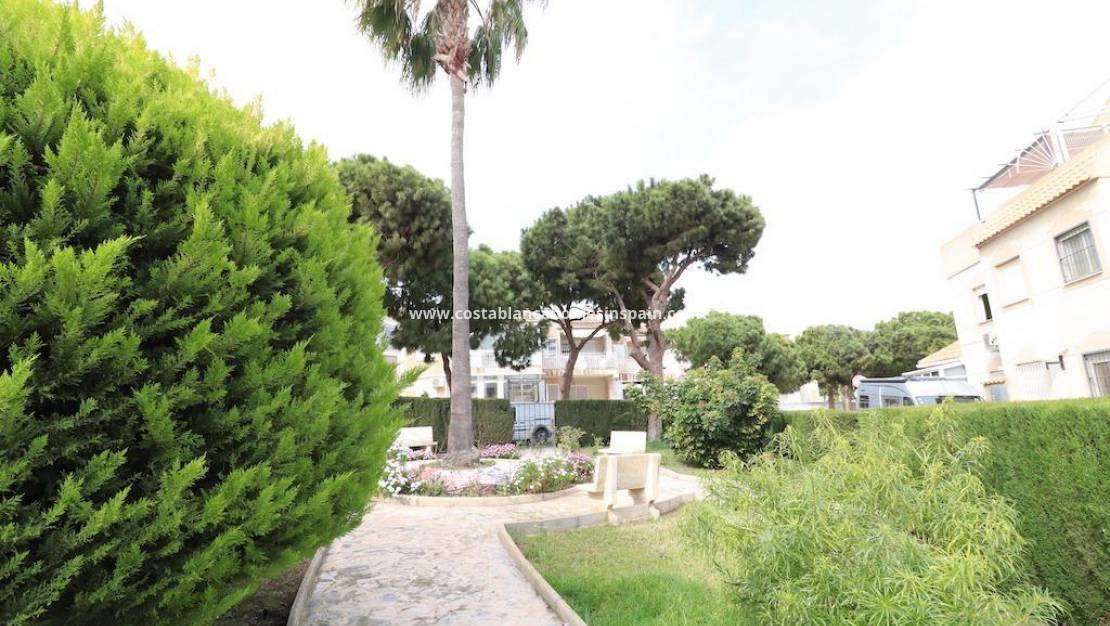 Re-salg - Bungalow - Torrevieja - Lago jardin