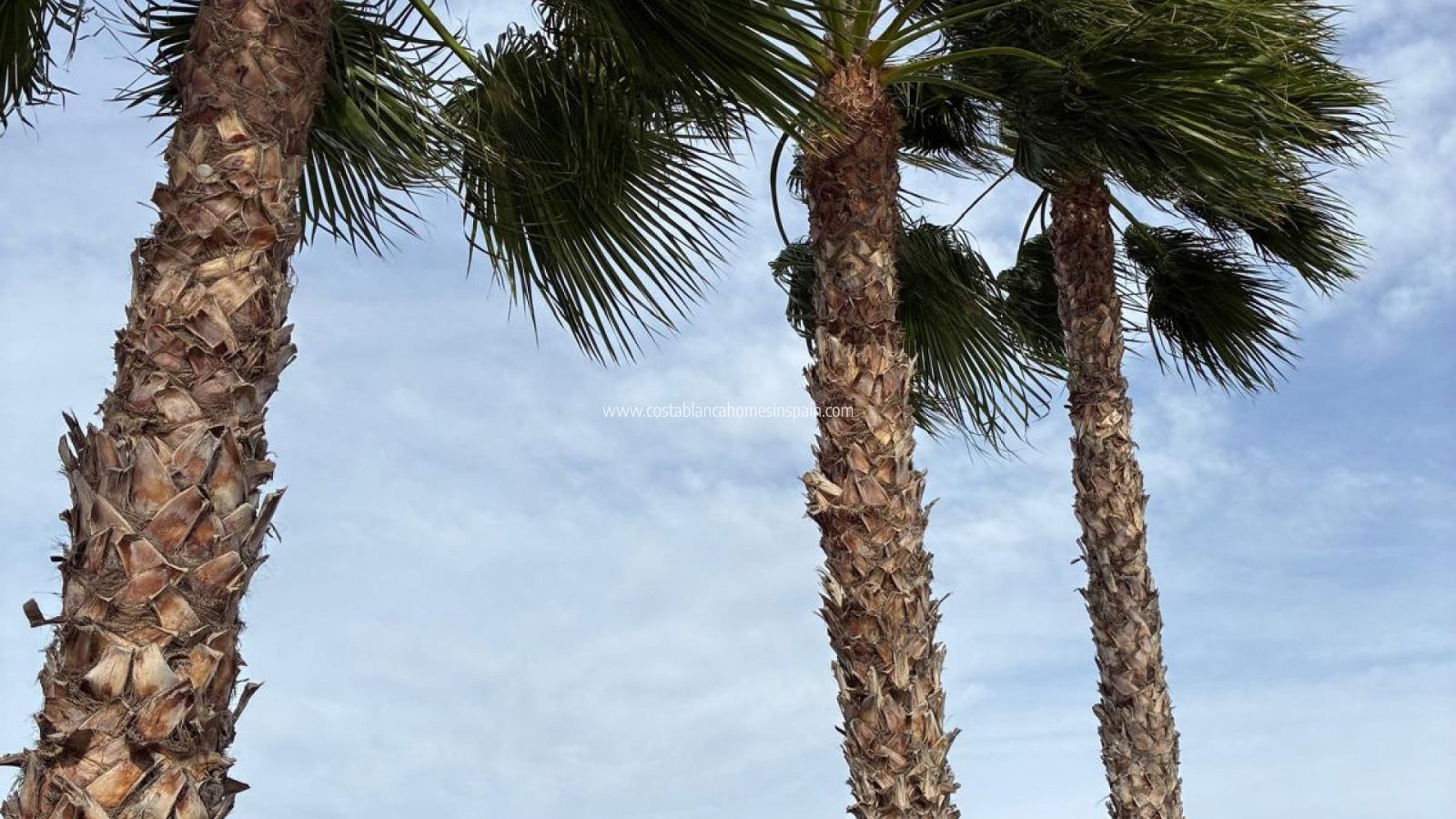 Re-salg - Detached Villa - Crevillente