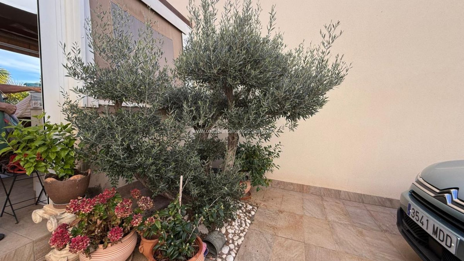 Re-salg - Detached Villa - Los Montesinos