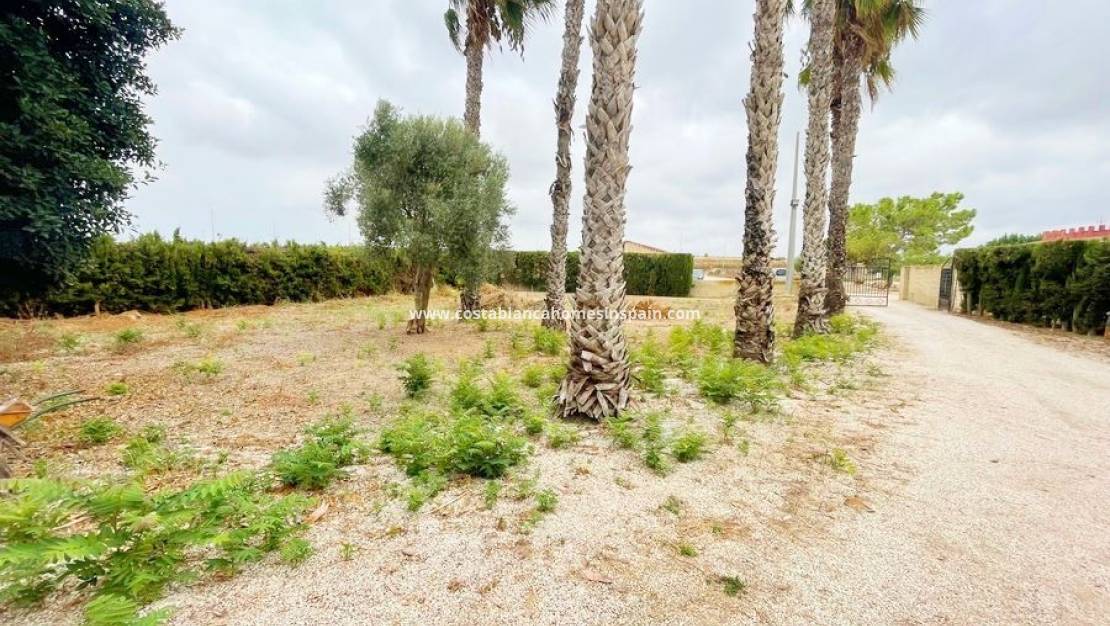 Re-salg - Finca - Daya Vieja