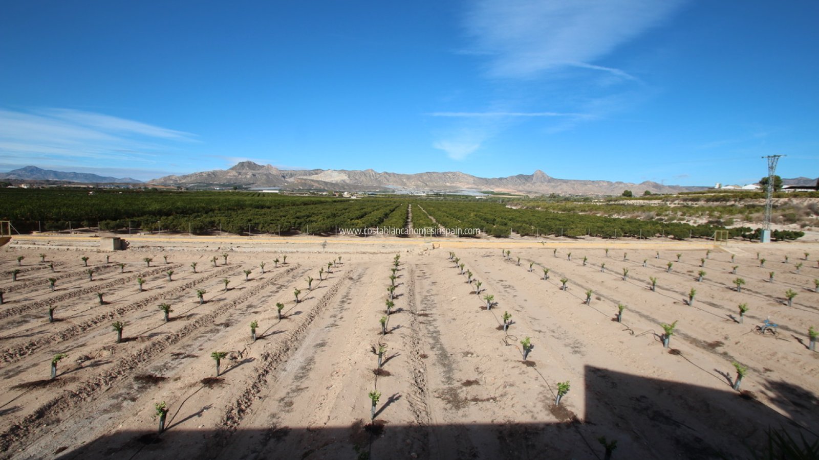 Re-salg - Finca - MURCIA REGION - Costa Blanca Sur