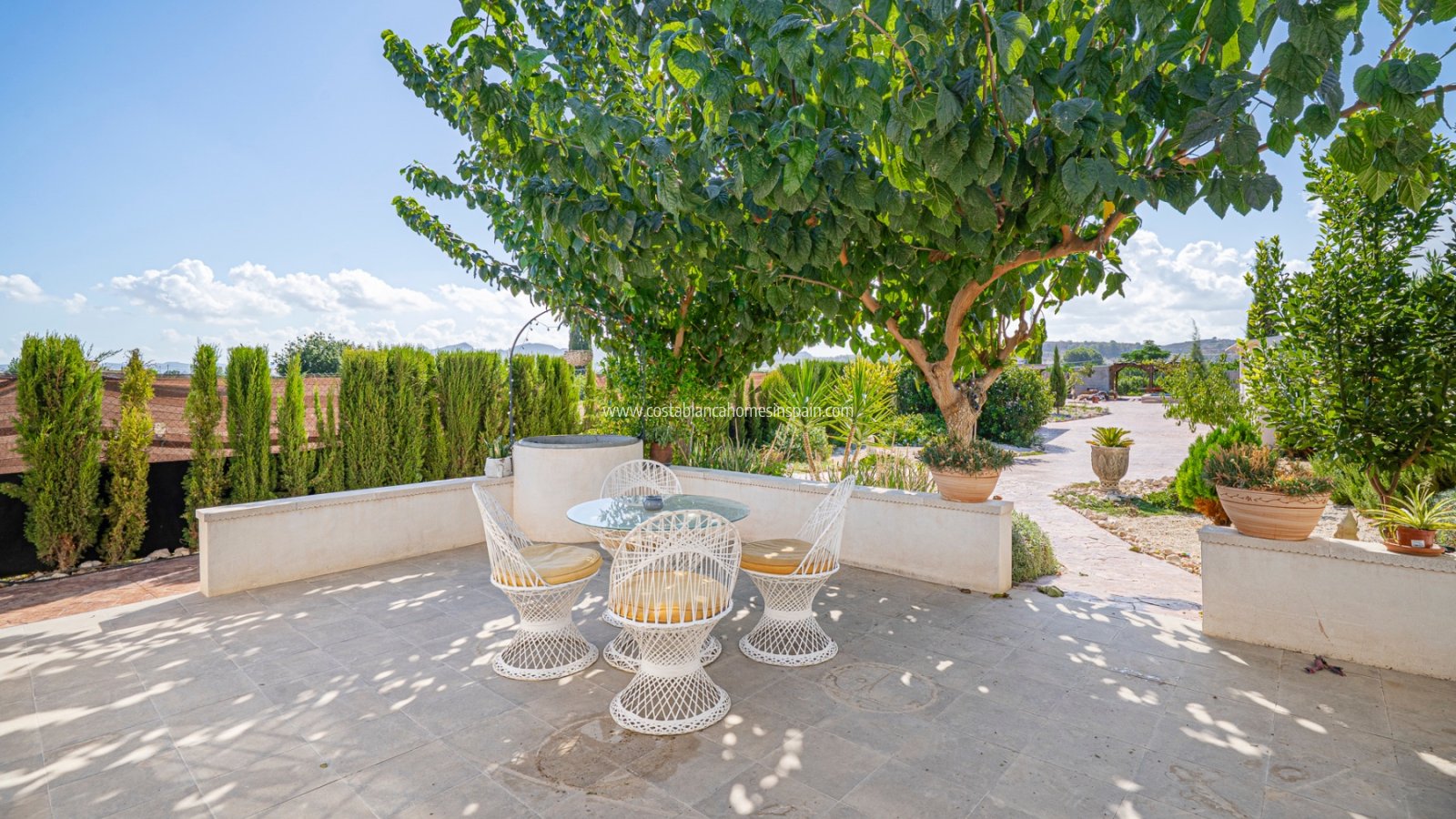 Re-salg - Finca - MURCIA REGION - MURCIA