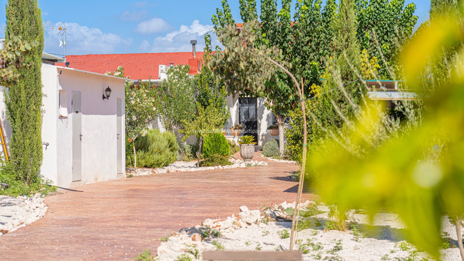 Re-salg - Finca - MURCIA REGION - MURCIA