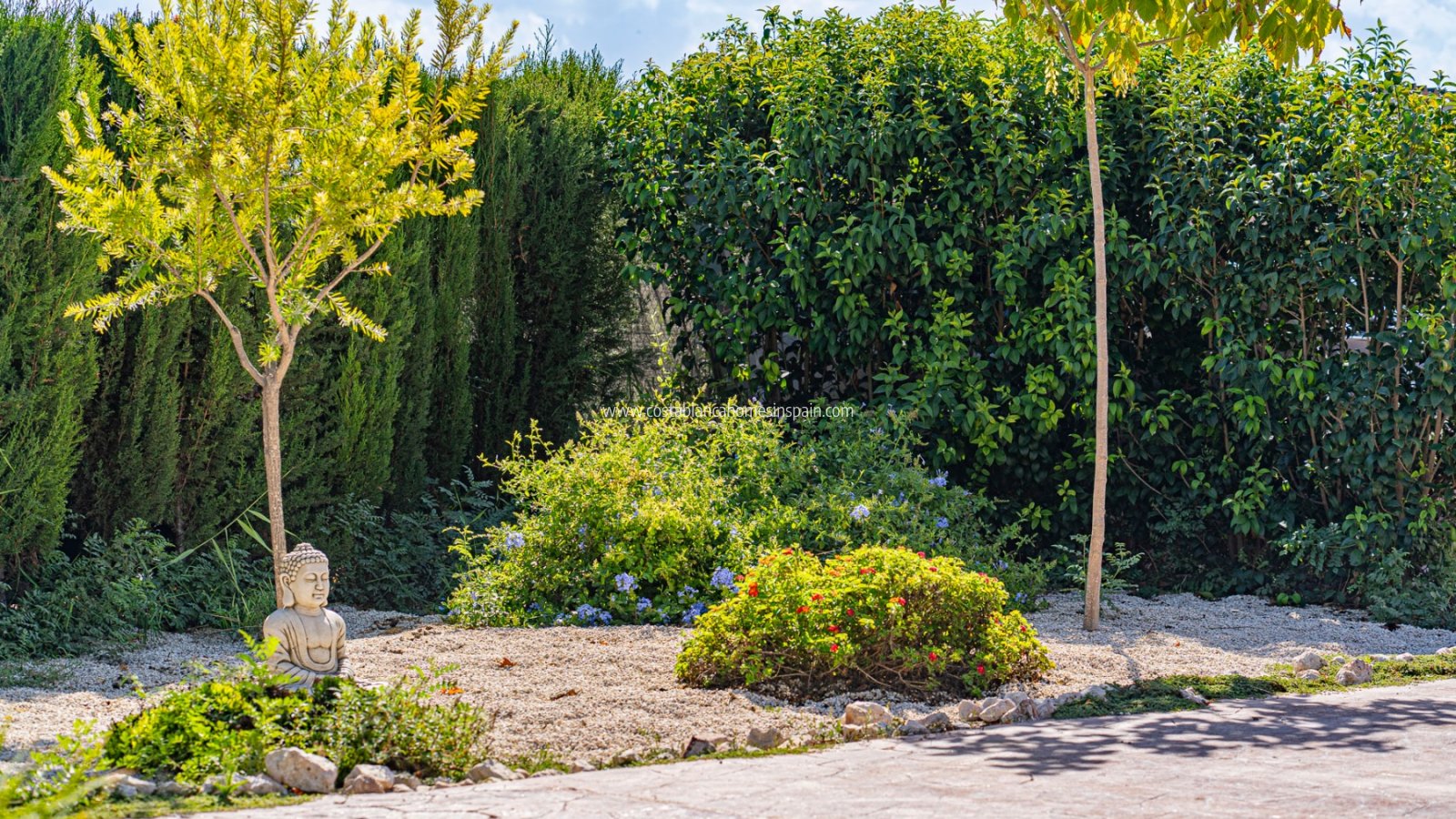 Re-salg - Finca - MURCIA REGION - MURCIA