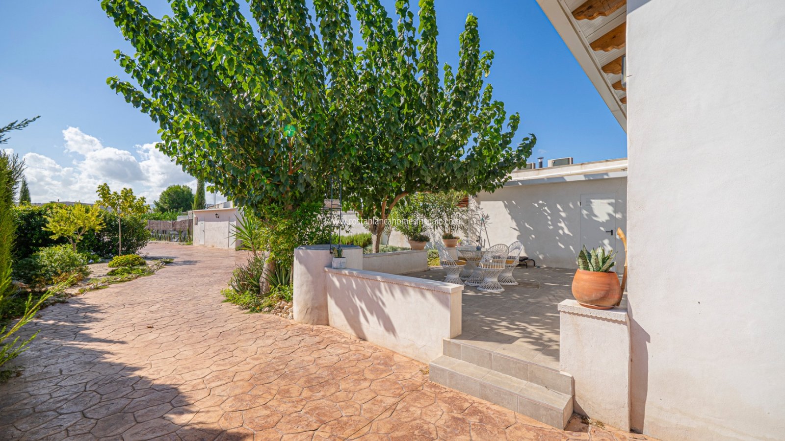 Re-salg - Finca - MURCIA REGION - MURCIA