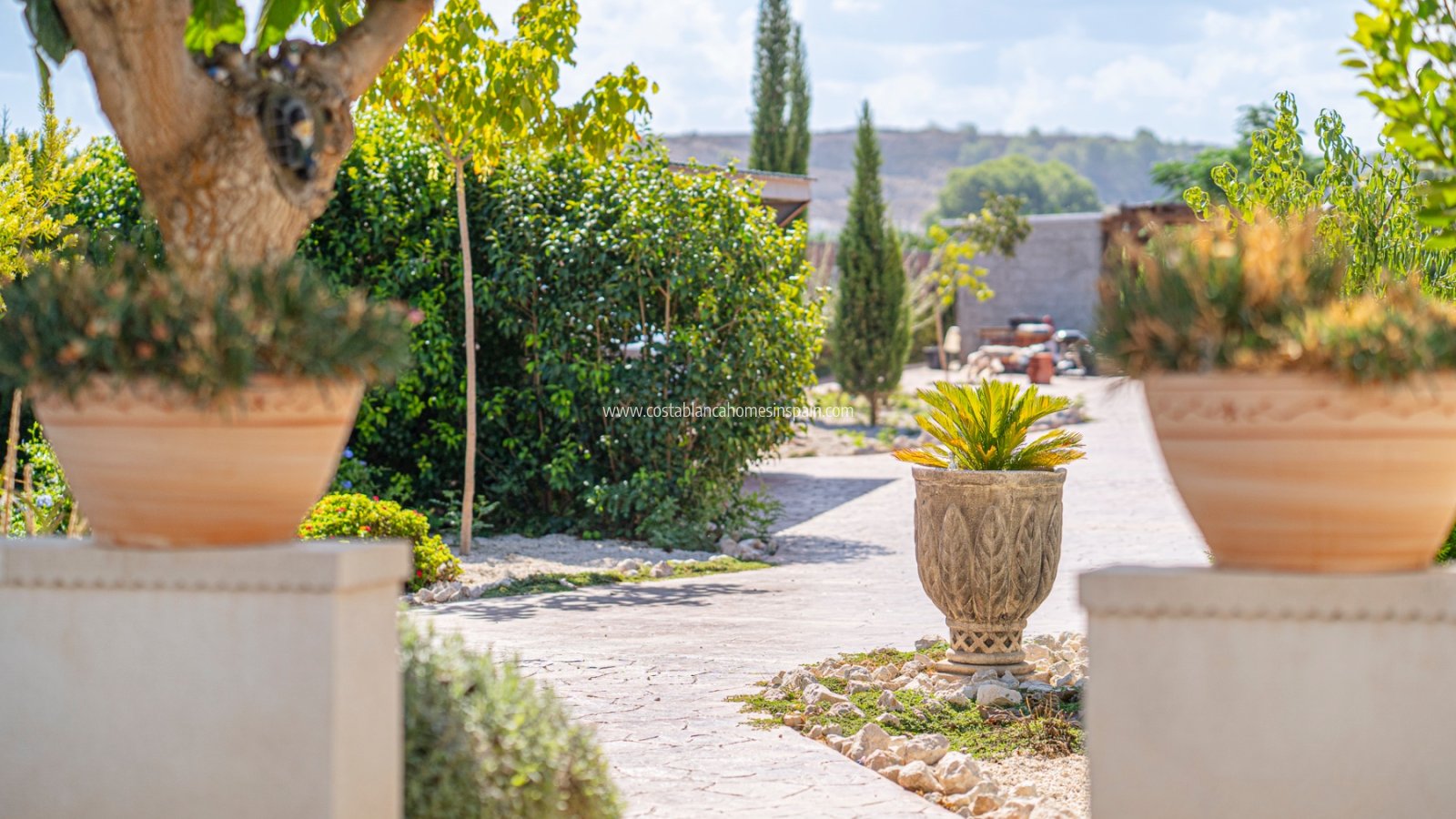 Re-salg - Finca - MURCIA REGION - MURCIA