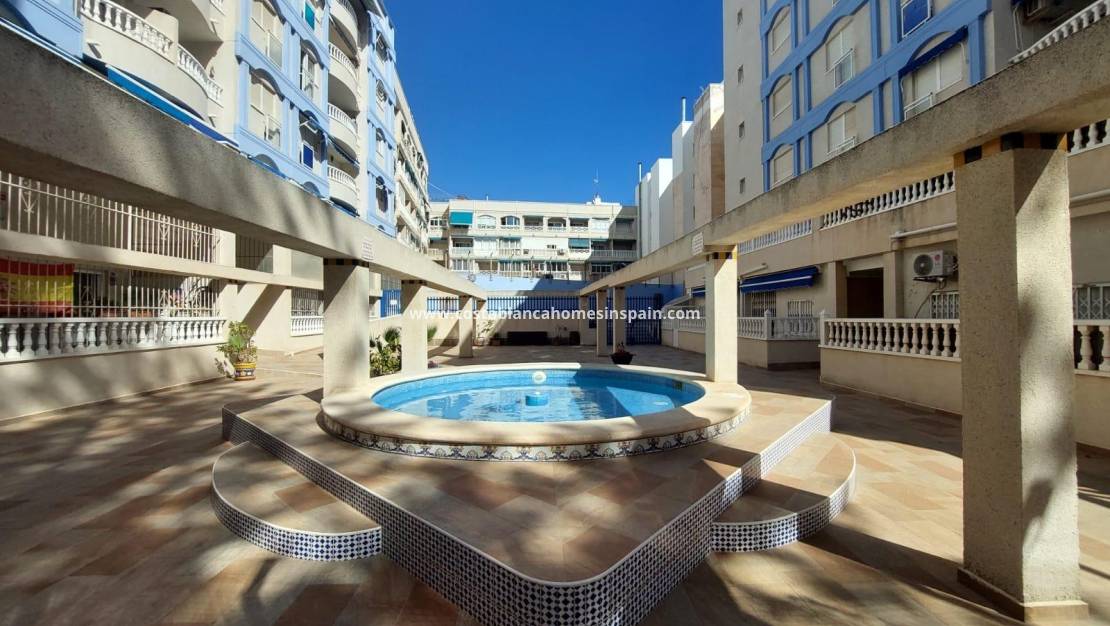 Re-salg - Ground Floor - Torrevieja - Playa de los Locos