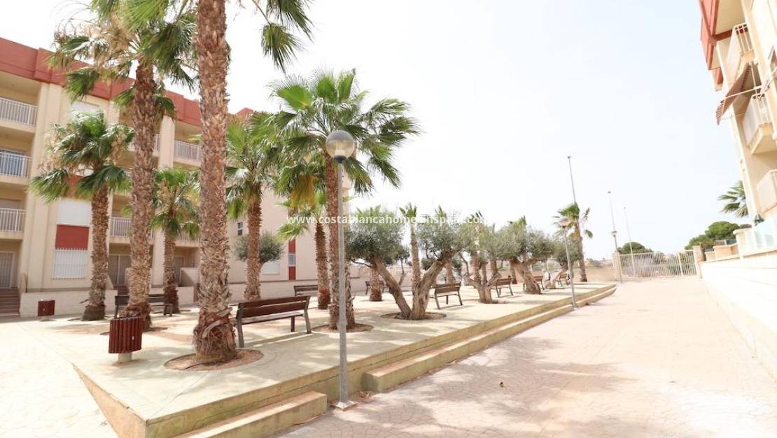 Re-salg - Penthouse - Orihuela Costa - Lomas de Cabo Roig