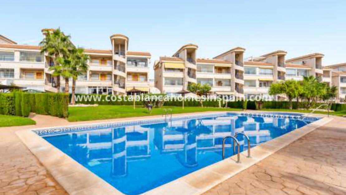 Re-salg - Semi Detached - Orihuela Costa - Los Altos