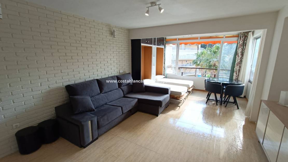 Rentals - Apartment - Benidorm - Levante