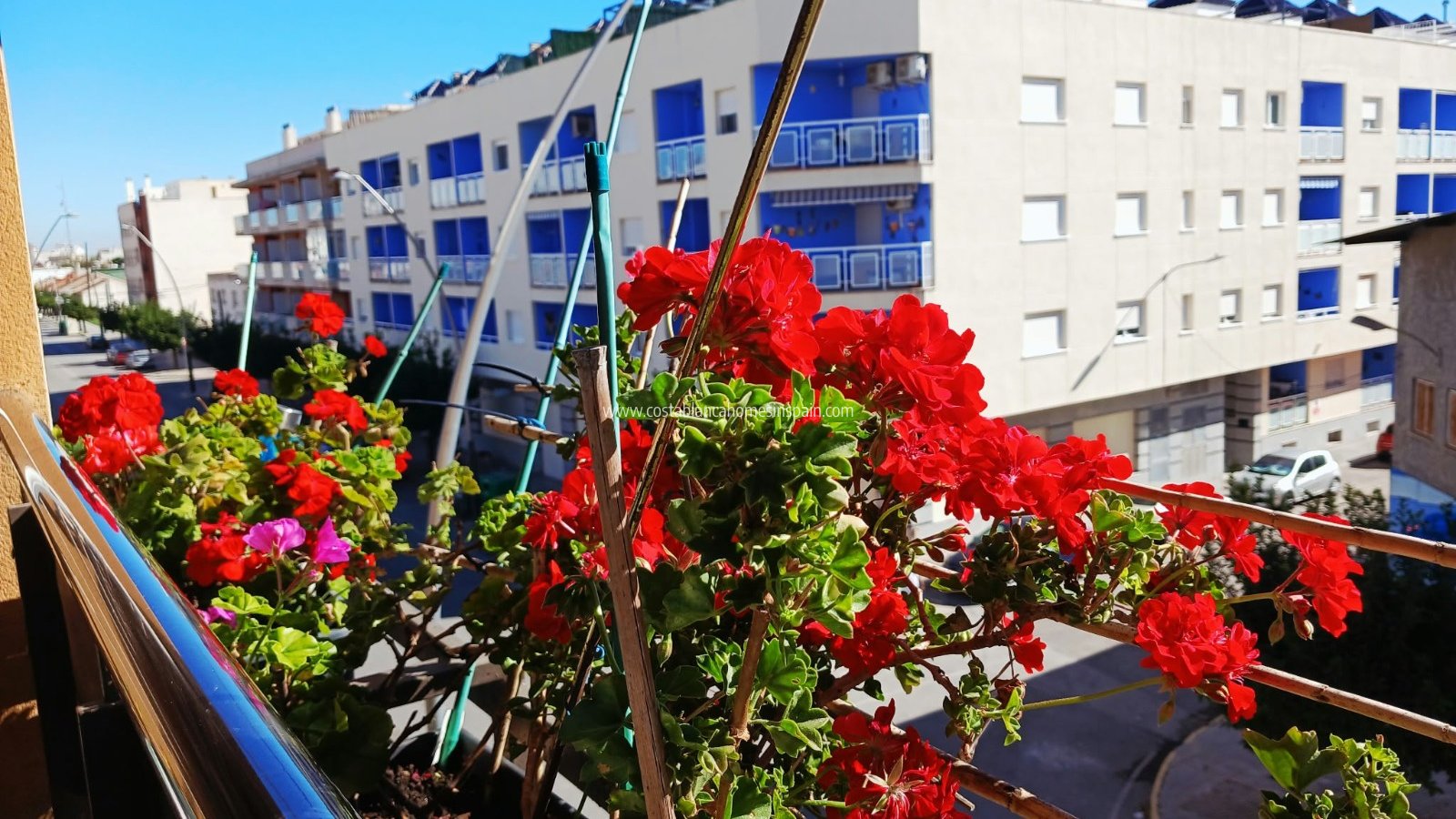 Resale - Apartment - Almoradi