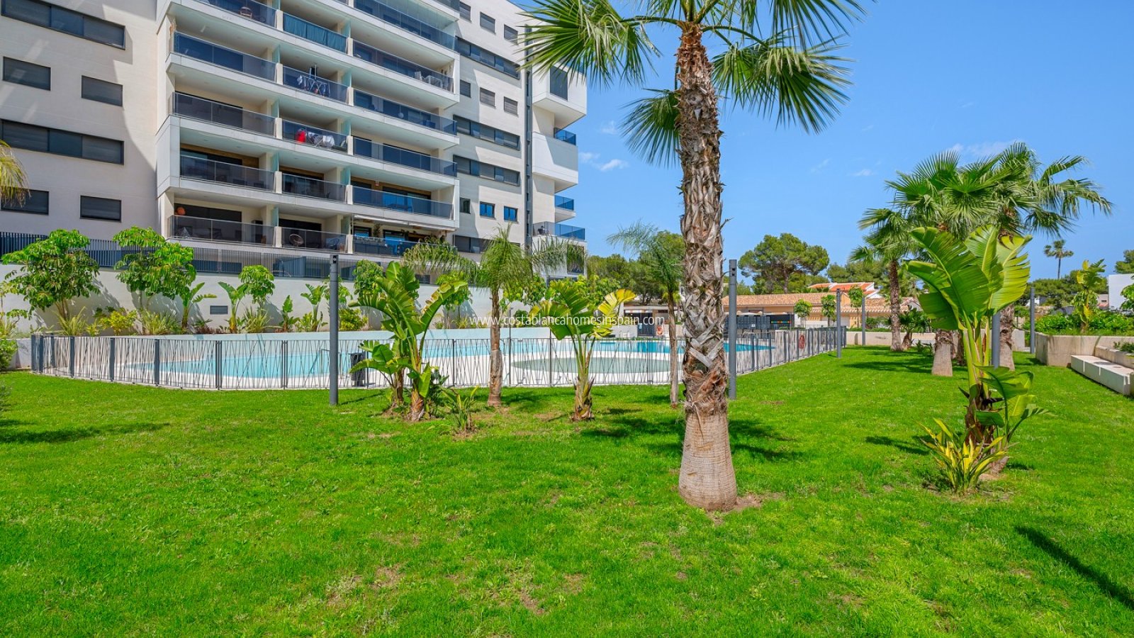 Resale - Apartment - Campoamor - Dehesa de Campoamor