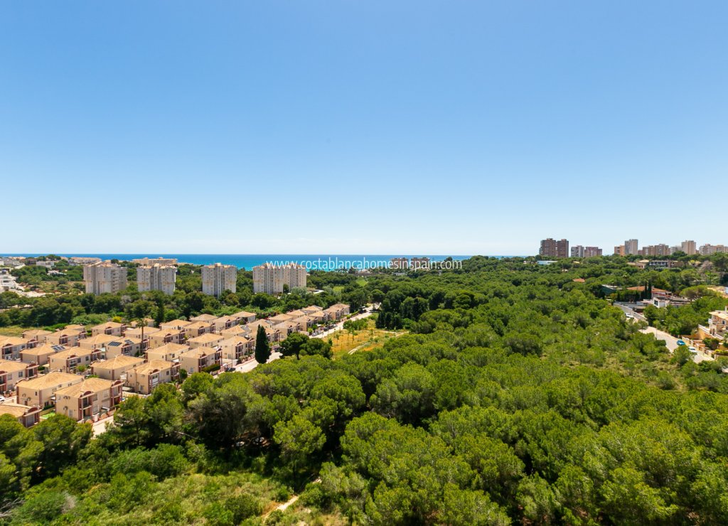 Resale - Apartment - Campoamor - Dehesa de Campoamor
