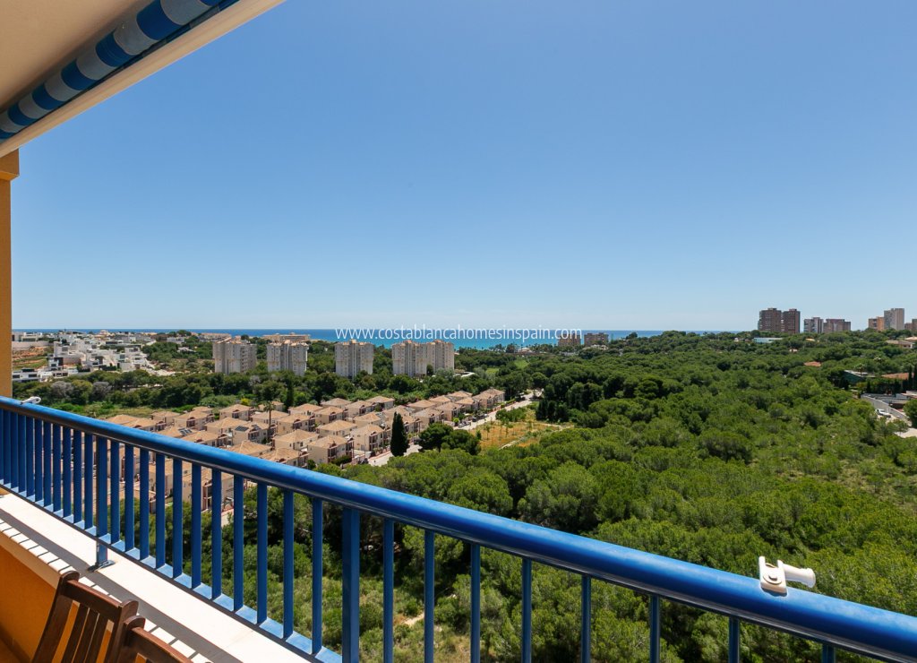 Resale - Apartment - Campoamor - Dehesa de Campoamor
