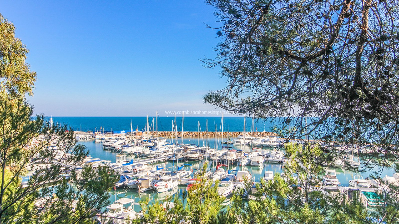 Resale - Apartment - Campoamor - Dehesa de Campoamor
