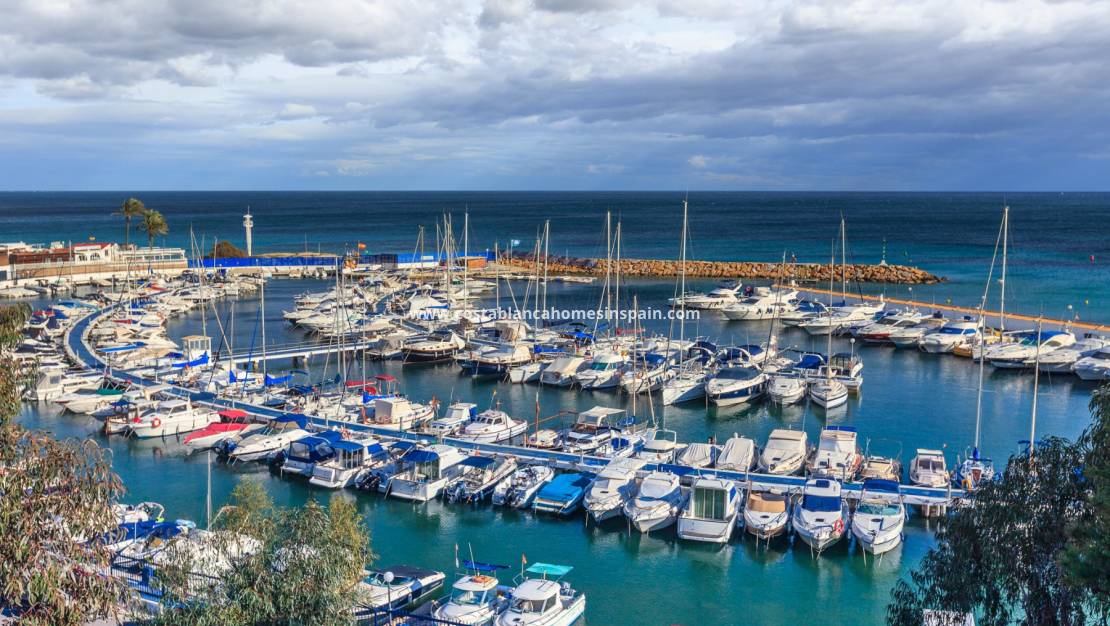 Resale - Apartment - Campoamor