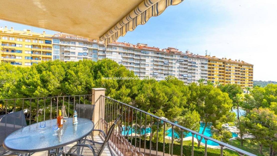 Resale - Apartment - Campoamor