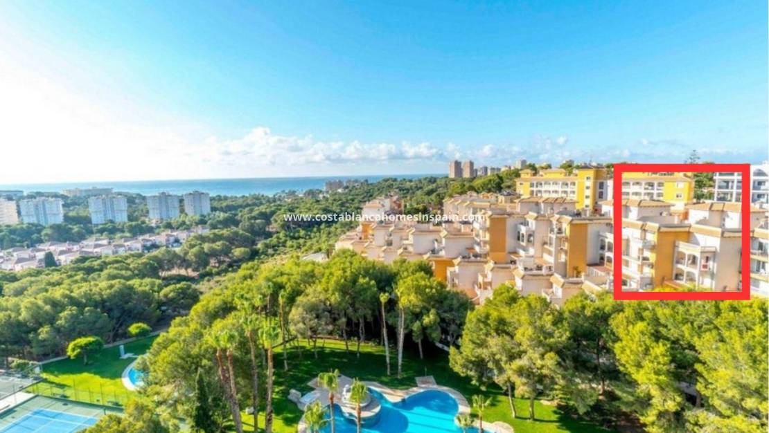 Resale - Apartment - Campoamor
