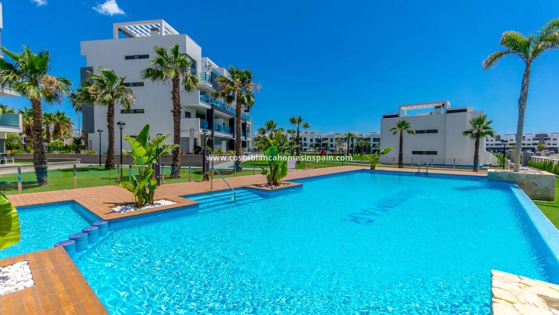 Resale - Apartment - Guardamar del Segura - El Raso