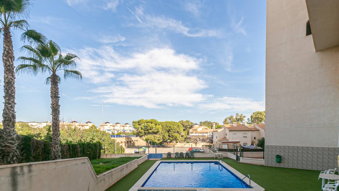 Resale - Apartment - La Zenia - Beachside