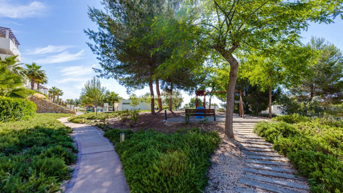Resale - Apartment - Las Colinas