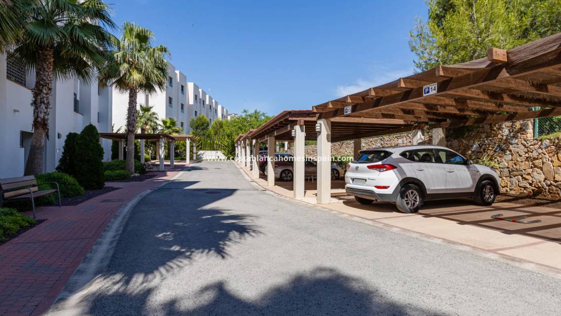 Resale - Apartment - Las Colinas