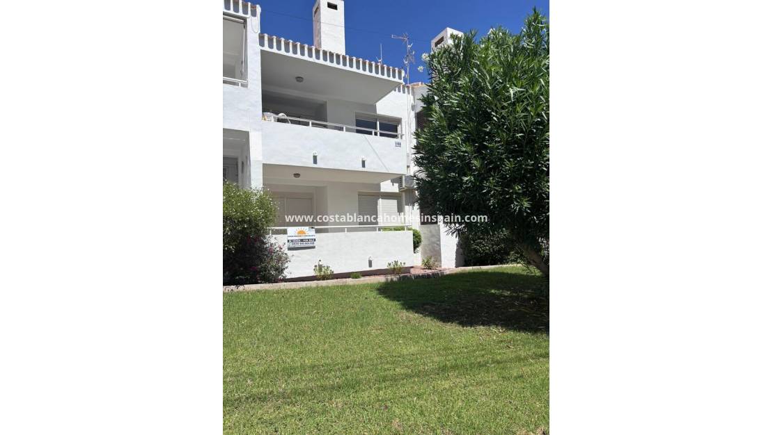 Resale - Apartment - Los Dolces - Villamartin