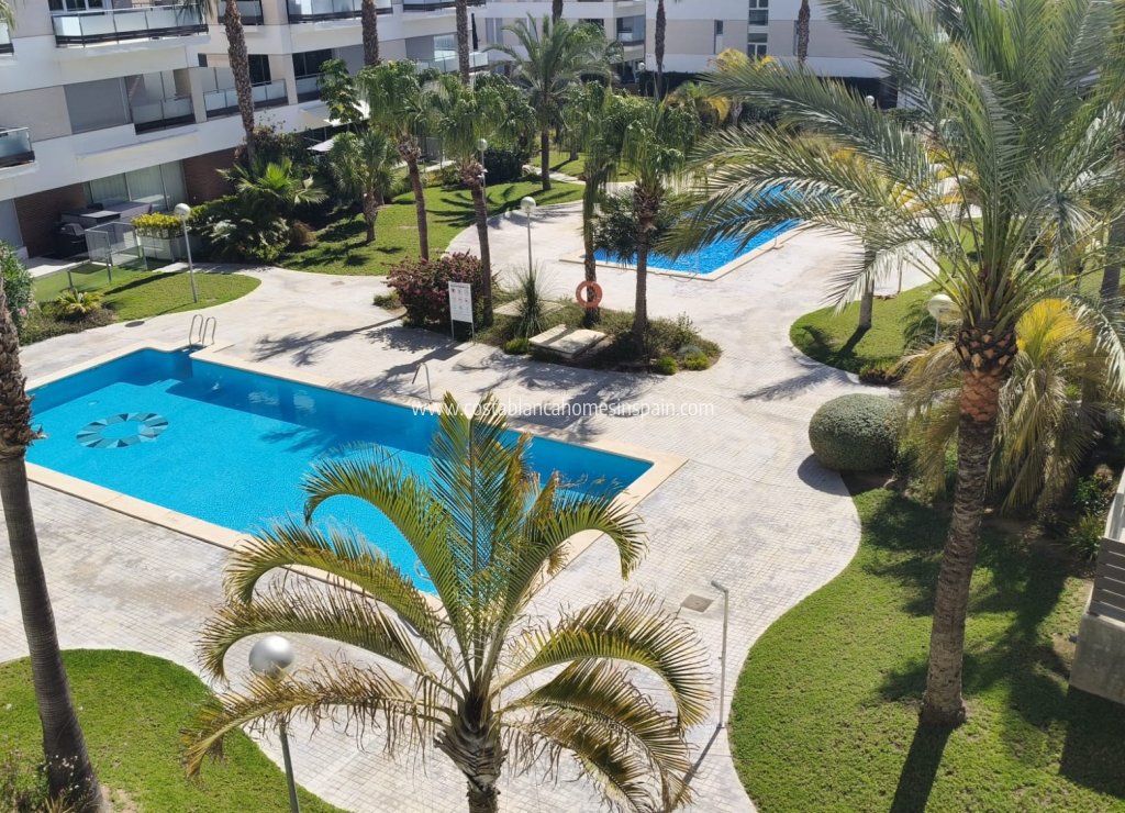 Resale - Apartment - Los Dolses - LOS DOLSES