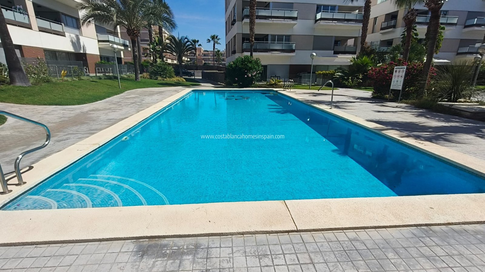 Resale - Apartment - Los Dolses - LOS DOLSES