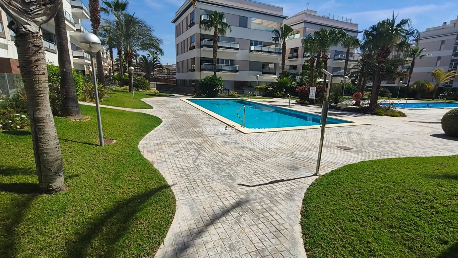 Resale - Apartment - Los Dolses - LOS DOLSES