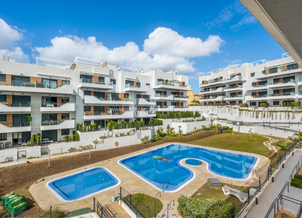 Resale - Apartment - Los Dolses - Villamartin