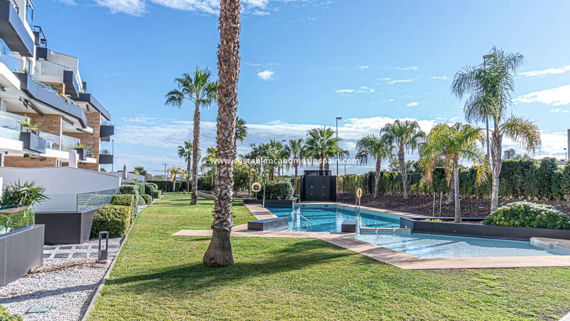 Resale - Apartment - Los Dolses