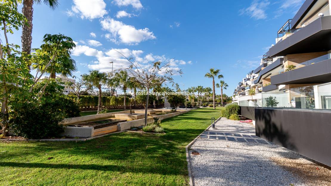 Resale - Apartment - Los Dolses