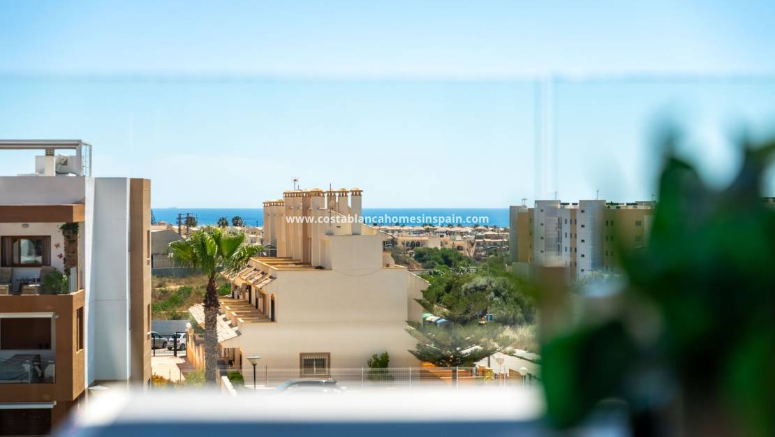 Resale - Apartment - Los Dolses