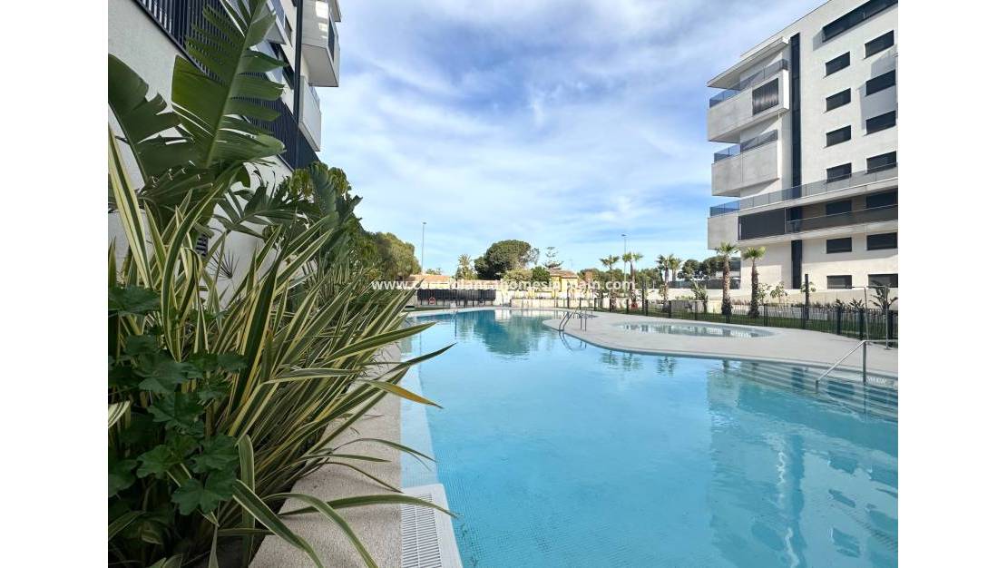 Resale - Apartment - Orihuela Costa - Dehesa de campoamor