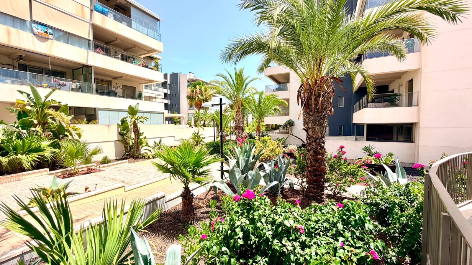 Resale - Apartment - Orihuela Costa - La Zenia