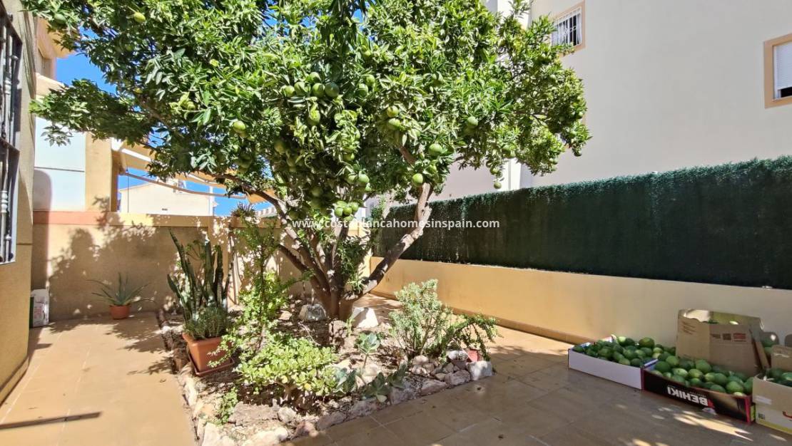 Resale - Apartment - Orihuela Costa - La Zenia