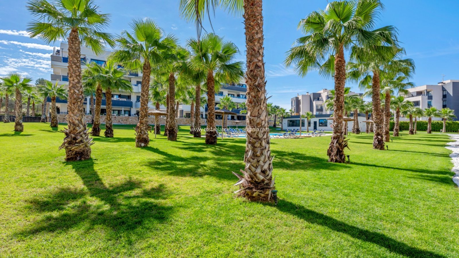 Resale - Apartment - Orihuela Costa - Los Altos