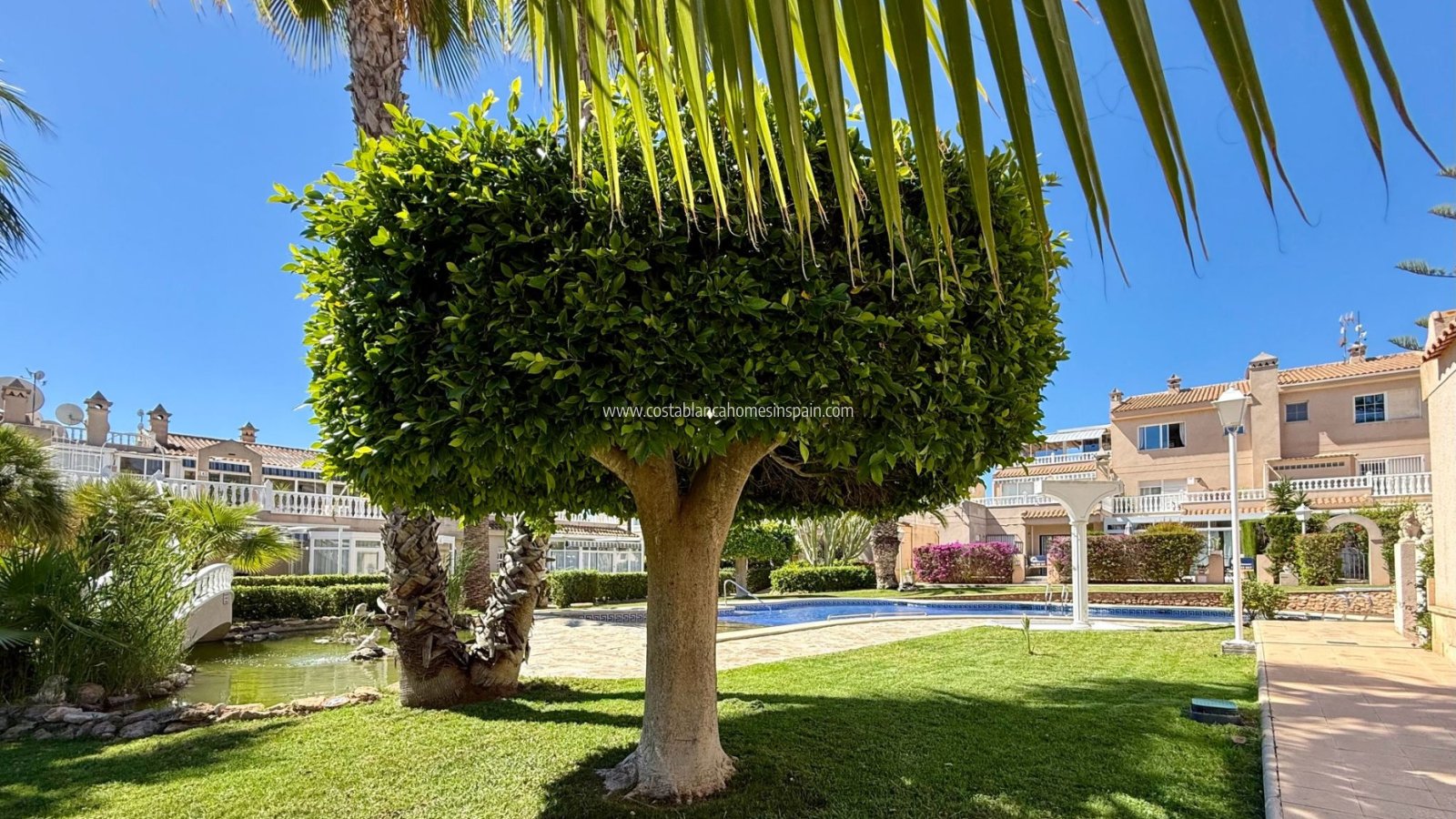 Resale - Apartment - Orihuela Costa - Playa Flamenca
