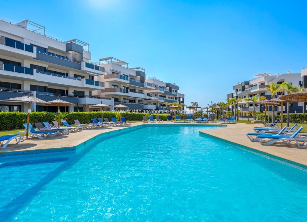 Resale - Apartment - Orihuela Costa - Playa Flamenca