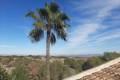 Resale - Apartment - Orihuela Costa - Villamartin