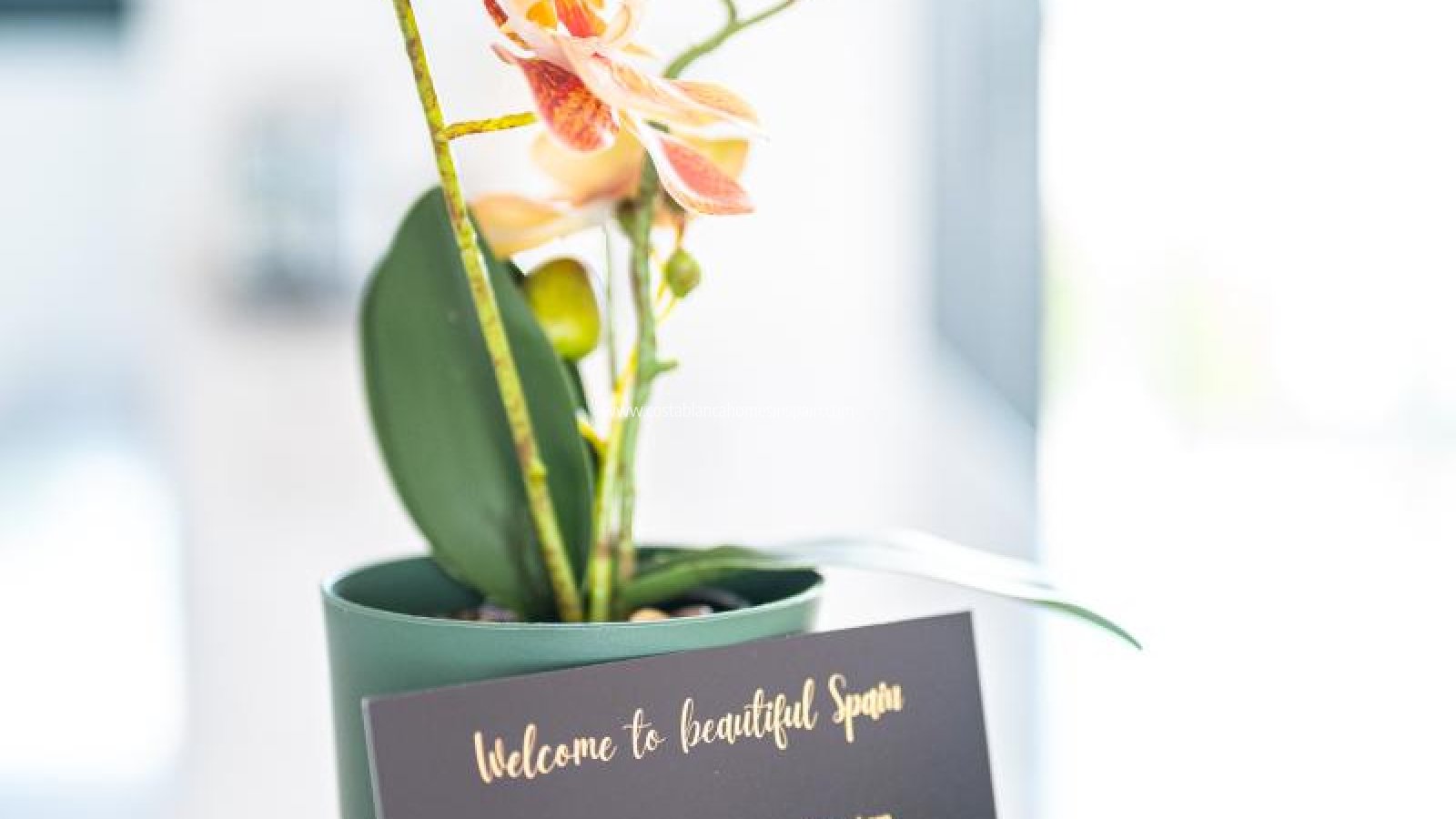 Resale - Apartment - Pilar de La Horadada - Pilar de la Horadada