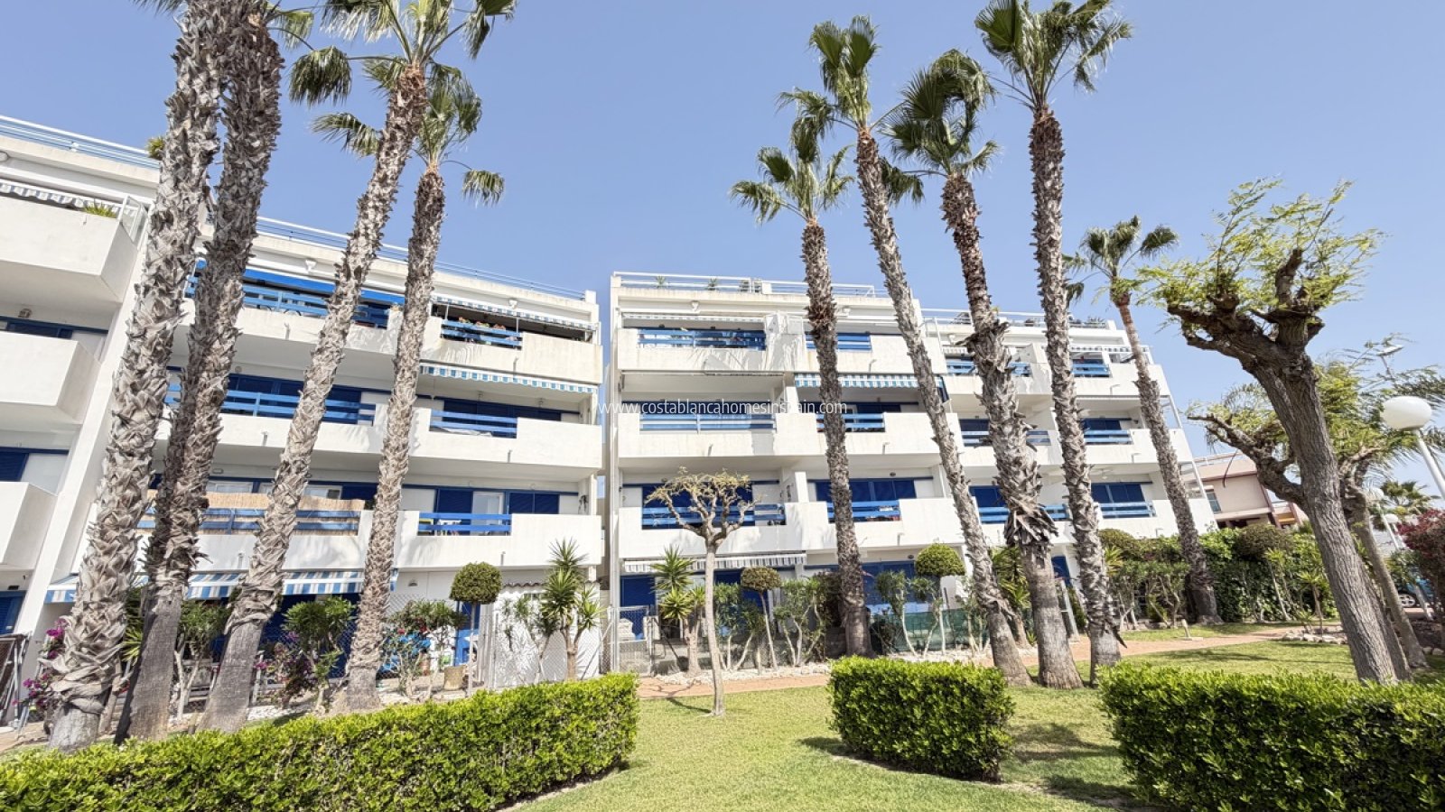 Resale - Apartment - Playa Flamenca - Orihuela Costa
