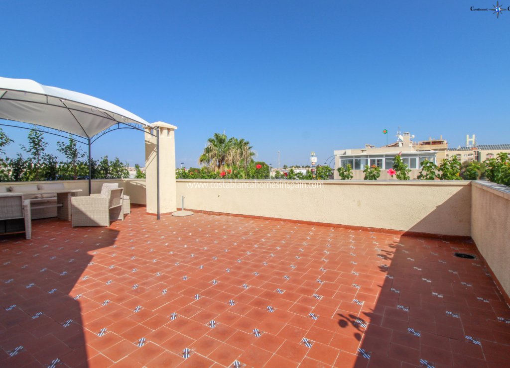 Resale - Apartment - Punta Prima - Beachside