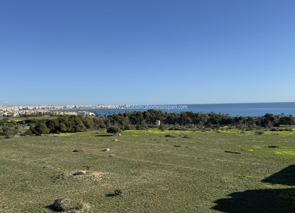Resale - Apartment - Punta Prima - Punta prima , Orihuela Costa
